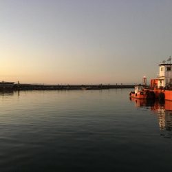 夕方にサビキでアジを釣る